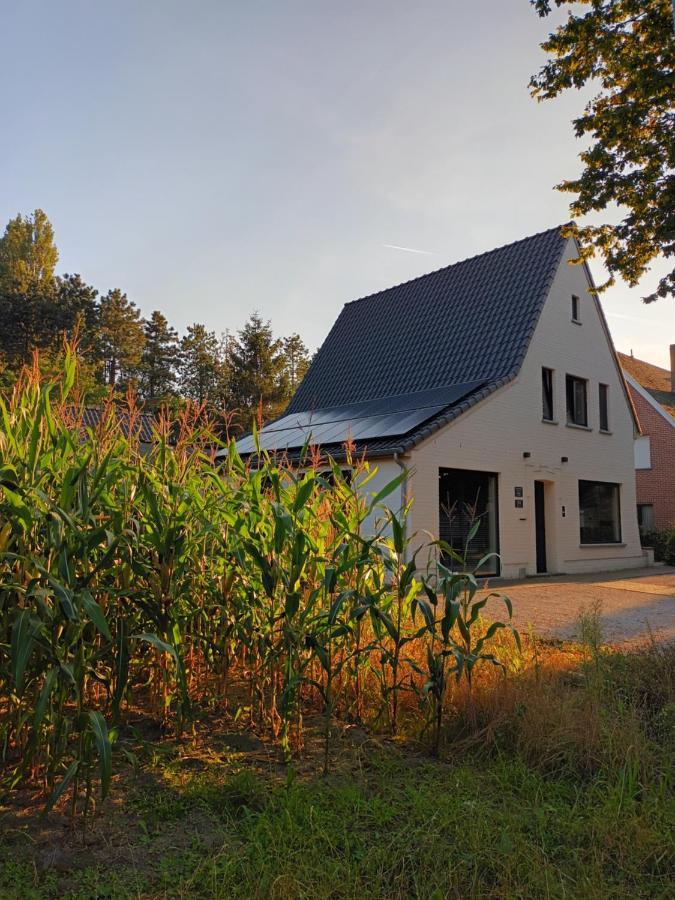 B&B Snelleghem Snellegem Buitenkant foto